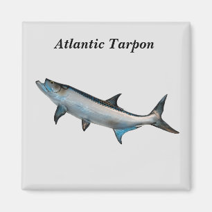 Atlantic Tarpon magnet