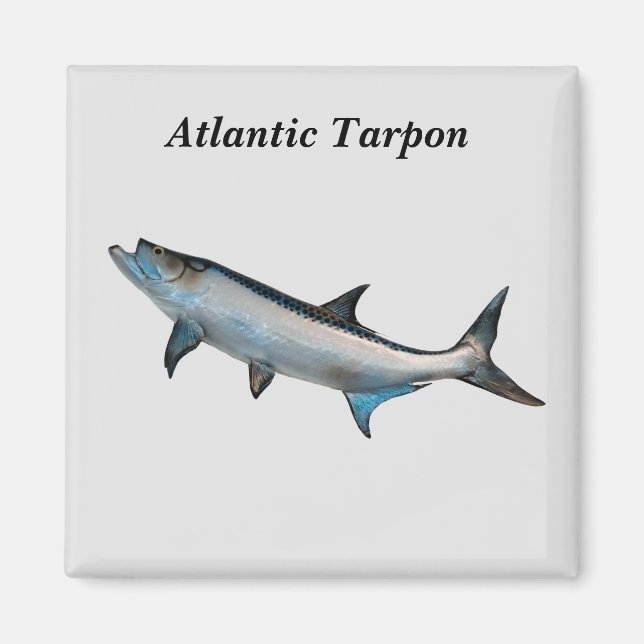 Atlantic Tarpon magnet (Front)