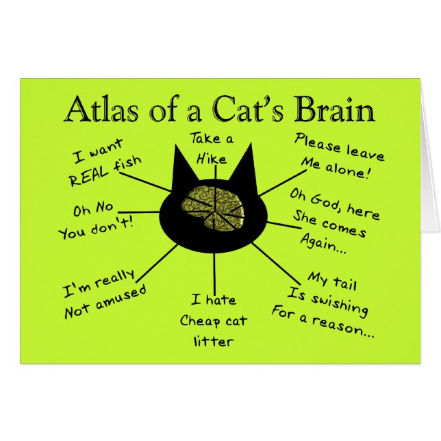 Atlas du cerveau d'un chat (Devant horizontal)