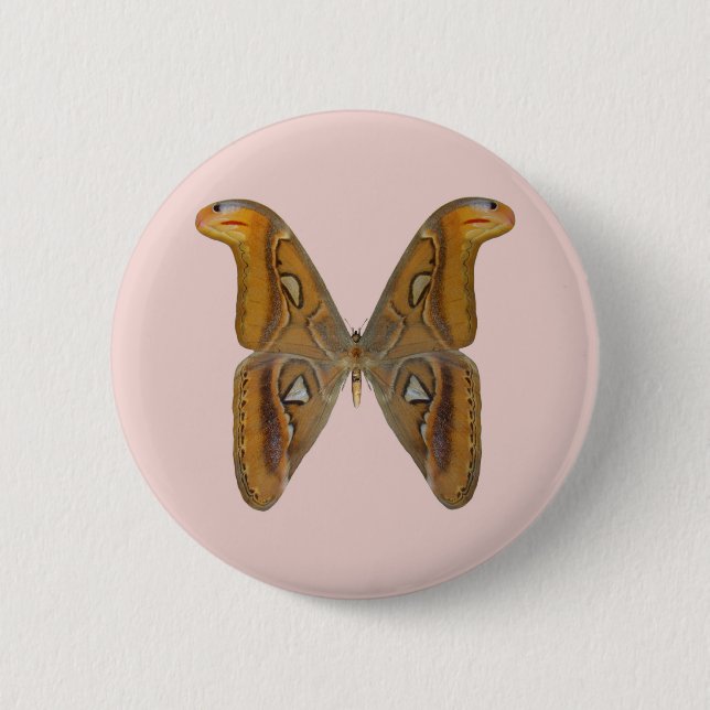 Atlas Moth 2 Inch Round Button (Front)