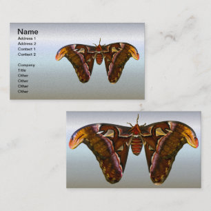 Atlas Moth - Snake Head Business Card