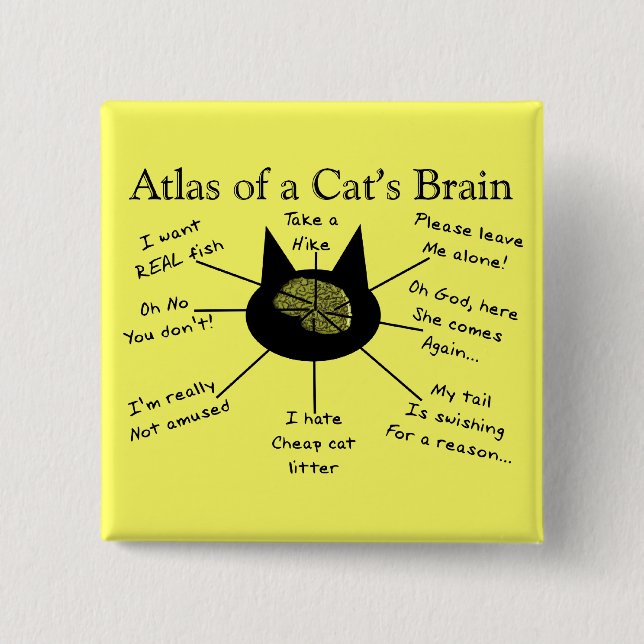 Atlas Of a Cat's Brain 2 Inch Square Button (Front)