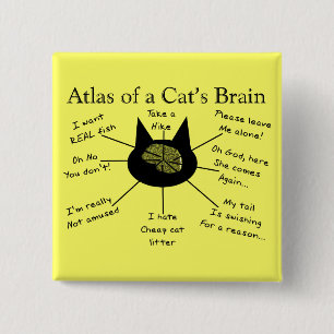 Atlas Of a Cat's Brain 2 Inch Square Button