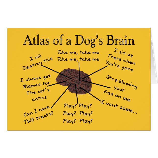 Atlas of a Dog's Brain (Front Horizontal)