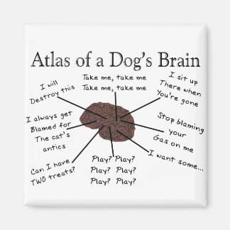 Atlas of a Dog's Brain Magnet