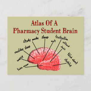Atlas of a Pharmacy Student Brain Postcard