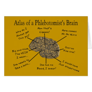 Atlas of a Phlebotomist's Brain