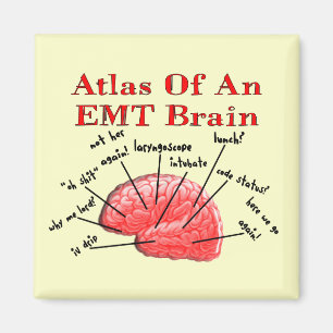 Atlas Of An EMT Brain Magnet
