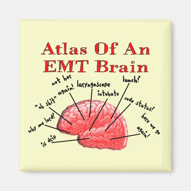 Atlas Of An EMT Brain Magnet (Front)