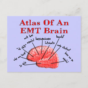 Atlas Of An EMT Brain Postcard