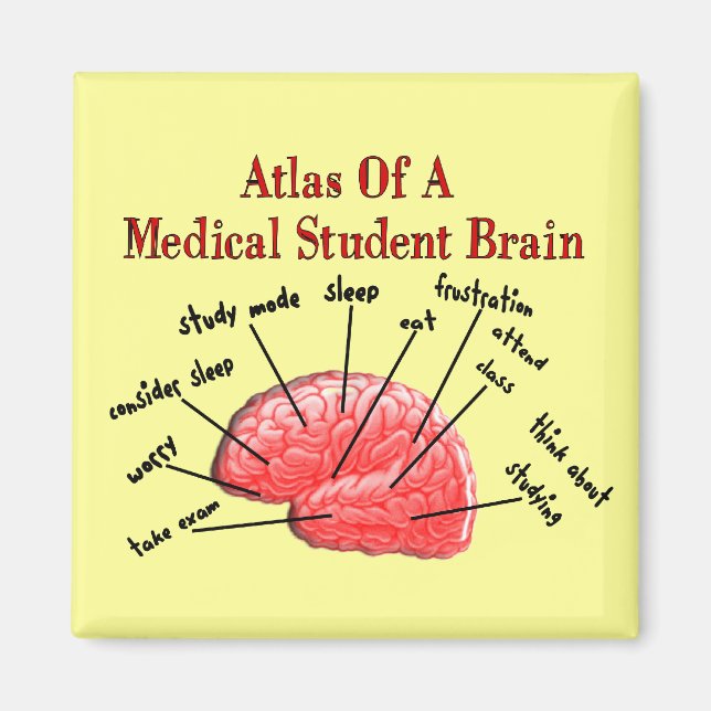 Atlas of Medical Student Brain Magnet (Front)