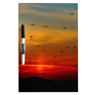 Atmospheric Sky, sunset, birds, beautiful photo Dry Erase Board
