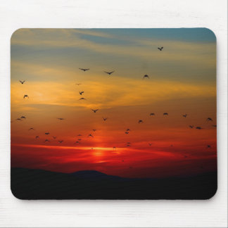 Atmospheric Sky, sunset, birds, beautiful photo Mouse Pad