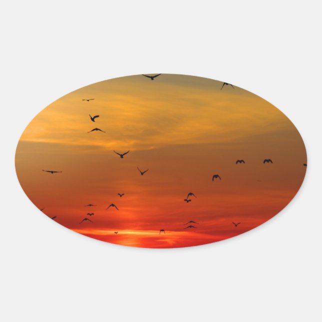 Atmospheric Sky, sunset, birds, beautiful photo Oval Sticker (Front)