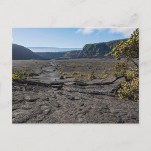 atop dry lava bed of kilauea iki crater postcard