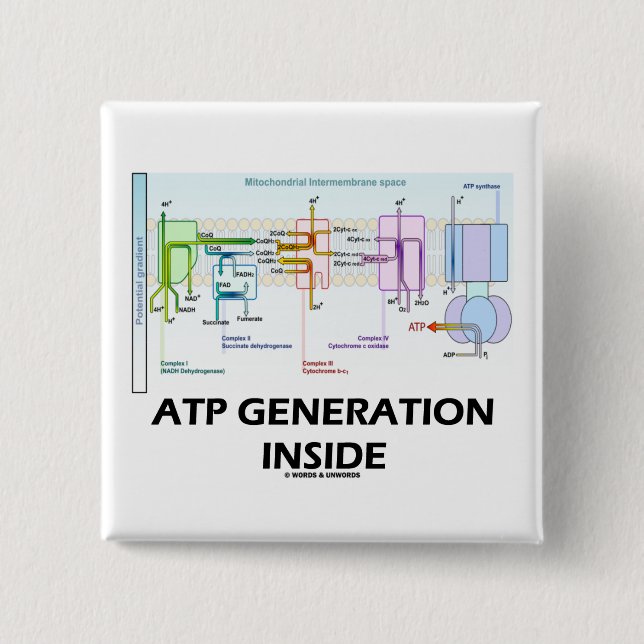 ATP Generation Inside (Electron Transport Chain) 2 Inch Square Button (Front)