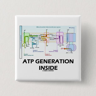 ATP Generation Inside (Electron Transport Chain) 2 Inch Square Button