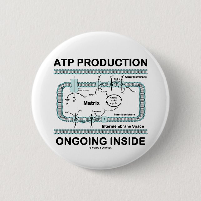 ATP Production Ongoing Inside 2 Inch Round Button (Front)