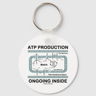 ATP Production Ongoing Inside Keychain