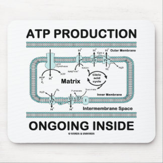 ATP Production Ongoing Inside Mouse Pad