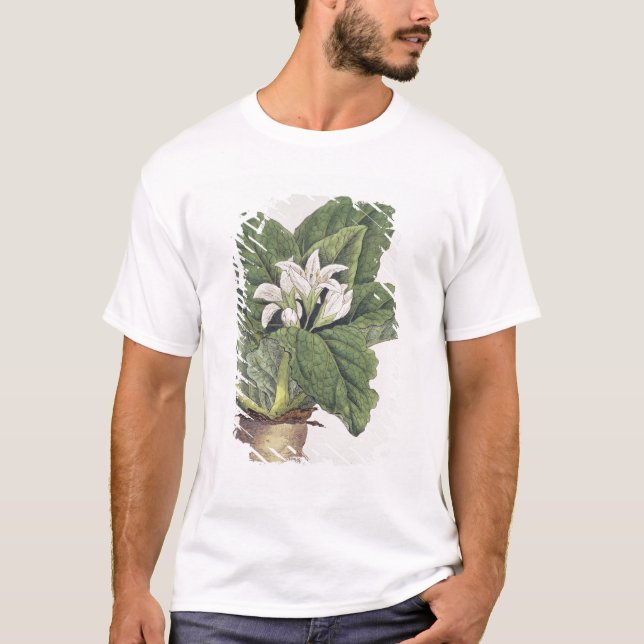 Atropa mandragora T-Shirt (Front)