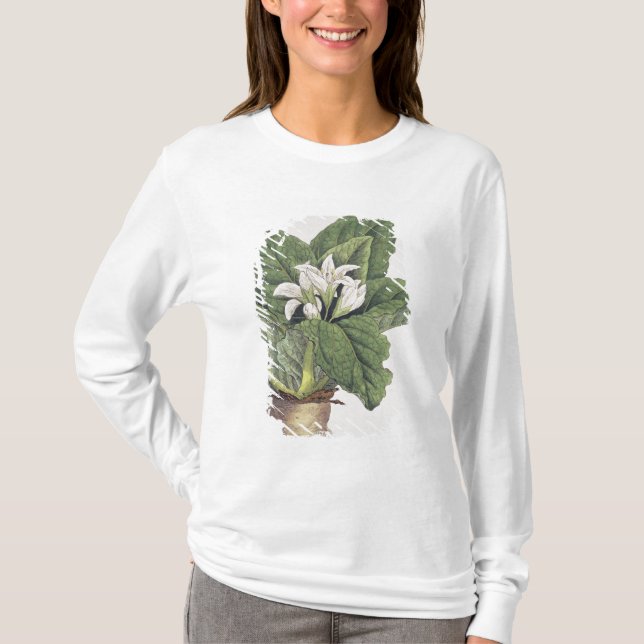 Atropa mandragora T-Shirt (Front)