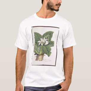 Atropa mandragora T-Shirt