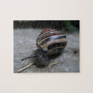 Attack of the Giant Snail Relaxing Self-Care Jigsaw Puzzle