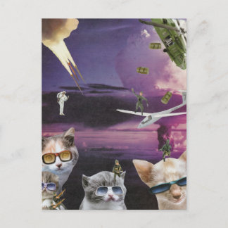 Attaque de la carte postale des chats Cool