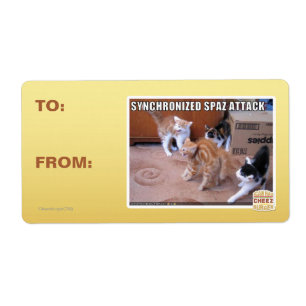 Attaque Spaz Sychronisée