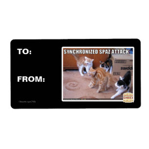 Attaque Spaz Sychronisée