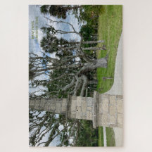 Atteindre le temps - Puzzles d'Ember tranquilles