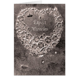 Attendez-vous à des miracles