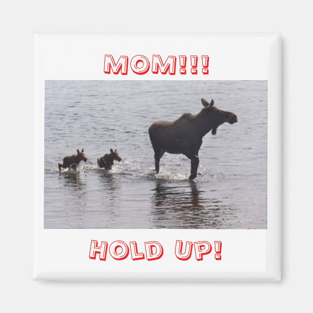 Attends ! ! ! Magnets de Moose Frig (Devant)
