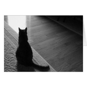 Attente, carte