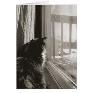 Attente dans le soleil