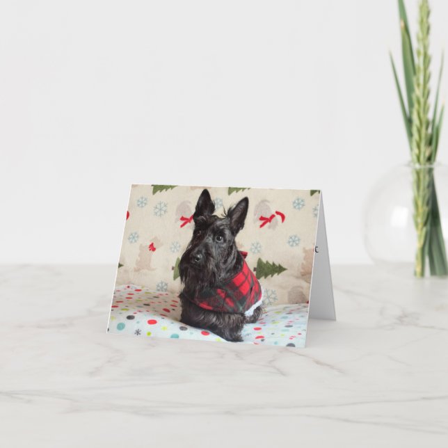 Attente de la carte Père Noël Paws (avec texte) (Devant)