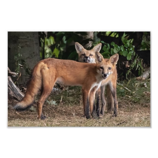 Attention À Mon Frère Photo Print (Devant)