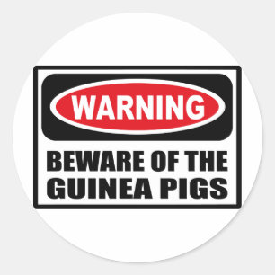 ATTENTION AU Sticker GUINEA PIGS
