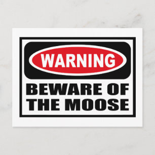 ATTENTION DE LA Carte Postale MOOSE
