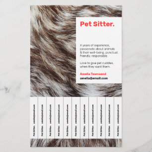 Attention-grabbing Modern Pet Sitter Service Ad Flyer