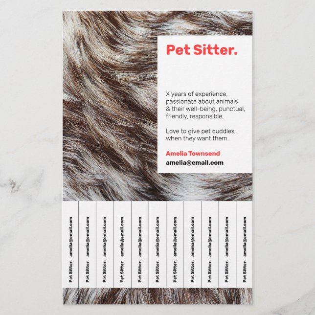 Attention-grabbing Modern Pet Sitter Service Ad Flyer (Front)