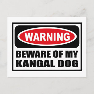 Attention MÉRITE DE MA Carte Postale KANGAL DOG