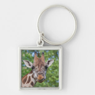 Attentive Giraffe Keychain