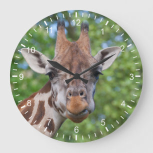 Attentive Giraffe Large Clock