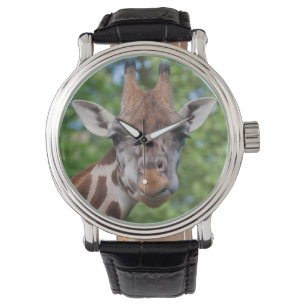 Attentive Giraffe Watch