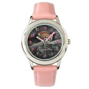 Attentive Red Panda in the zoo Watch