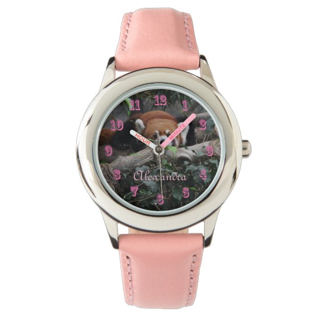 Attentive Red Panda in the zoo Watch (Front)