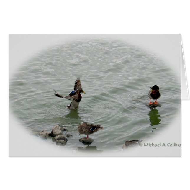 Atterrissage (Devant horizontal)