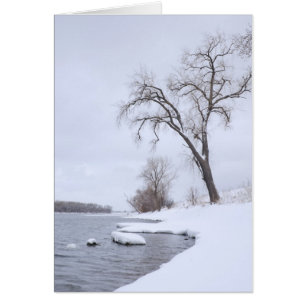 Atterrissage de Kaposia en hiver